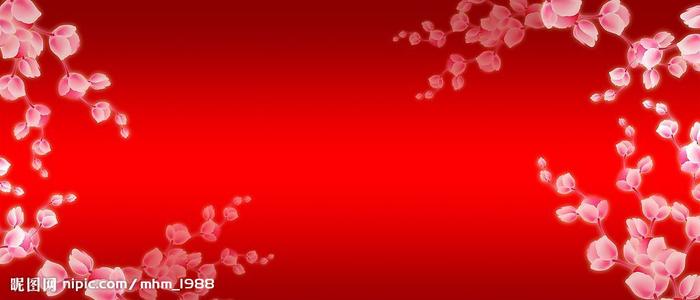 ライザ大学Diploma in Business Management